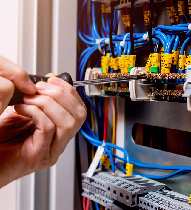 Intervention de désinsectisation contre guêpes et frelons